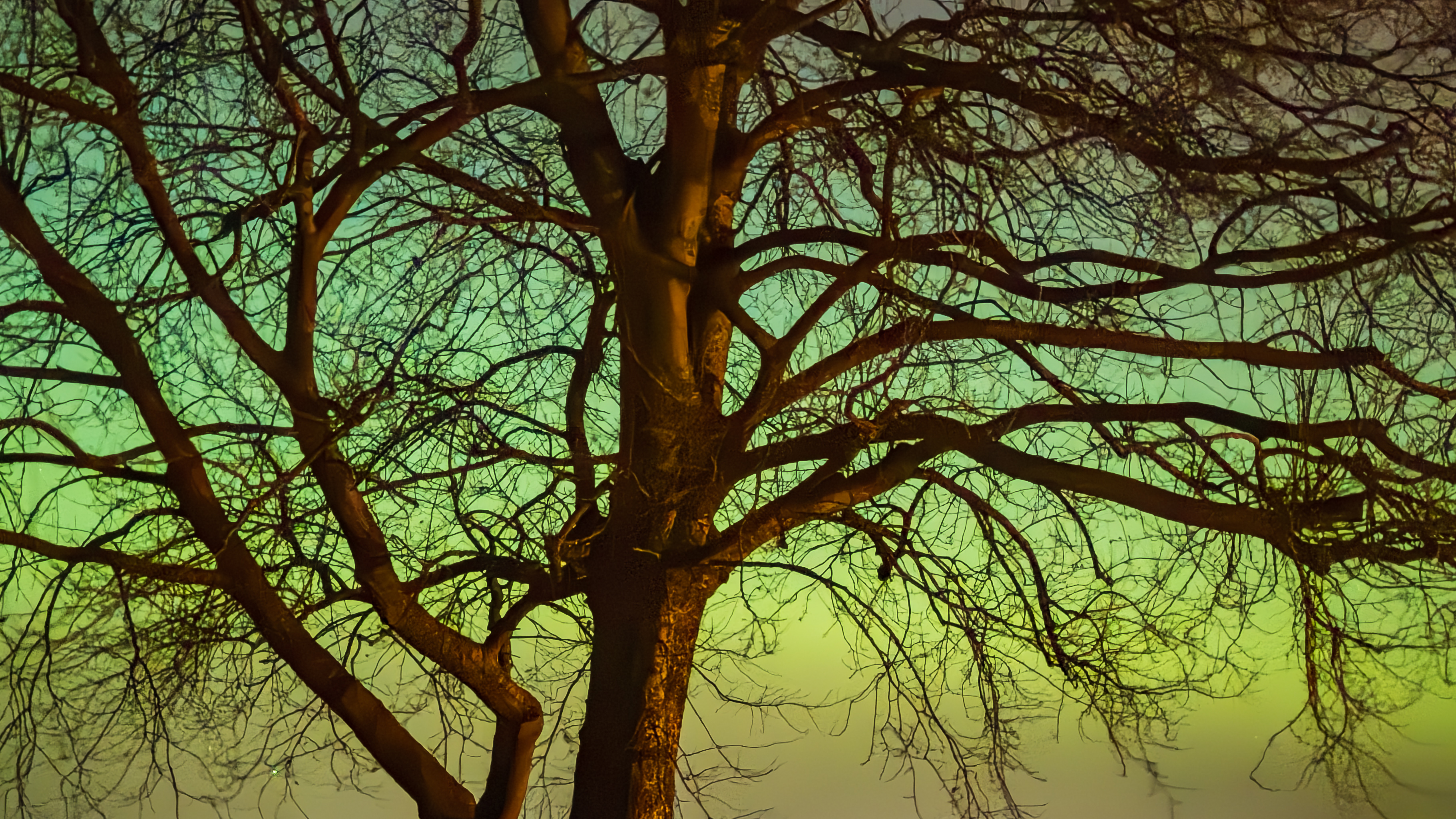 IMG 7301 20260119 235439 6.76 mm 1.0 Sek. bei f   1,8 ISO 6400